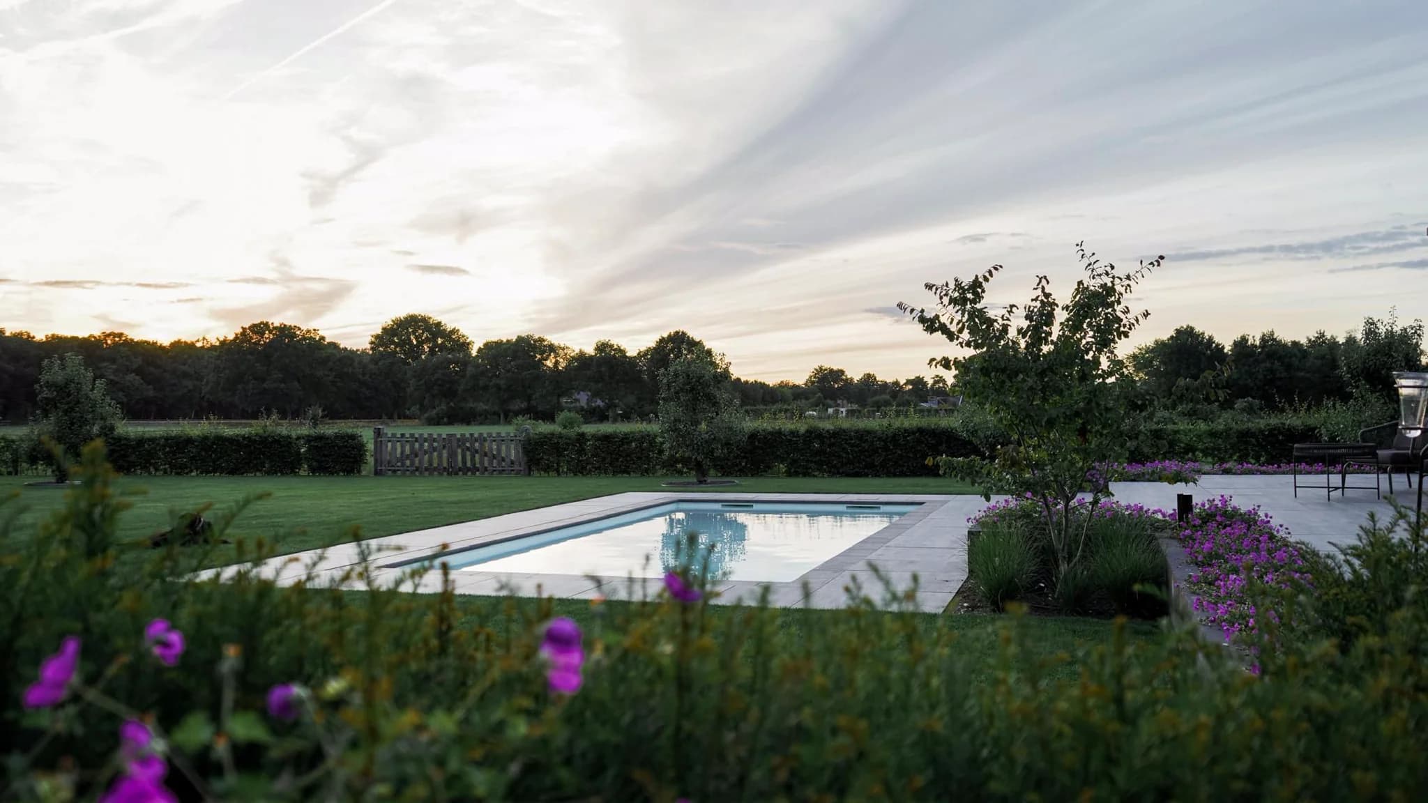 Achtertuin met rechthoekig zwembad, betegeld terras, groen gazon, hagen en paarse bloemen onder een rustige lucht met strepen wolken