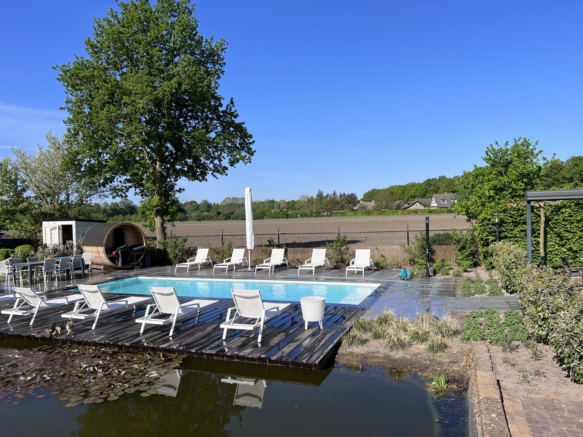 Buitenzwembad met witte ligstoelen op een houten vlonder, gesloten parasol, ronde houten cabine en grote boom; op de achtergrond een akker en een vijver met waterlelies.