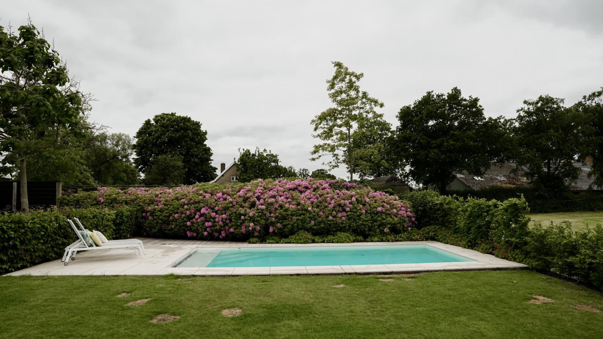 Rechthoekig buitenzwembad met twee ligstoelen aan het terras, grote rododendronheg met roze bloemen en bomen op de achtergrond onder een bewolkte hemel.