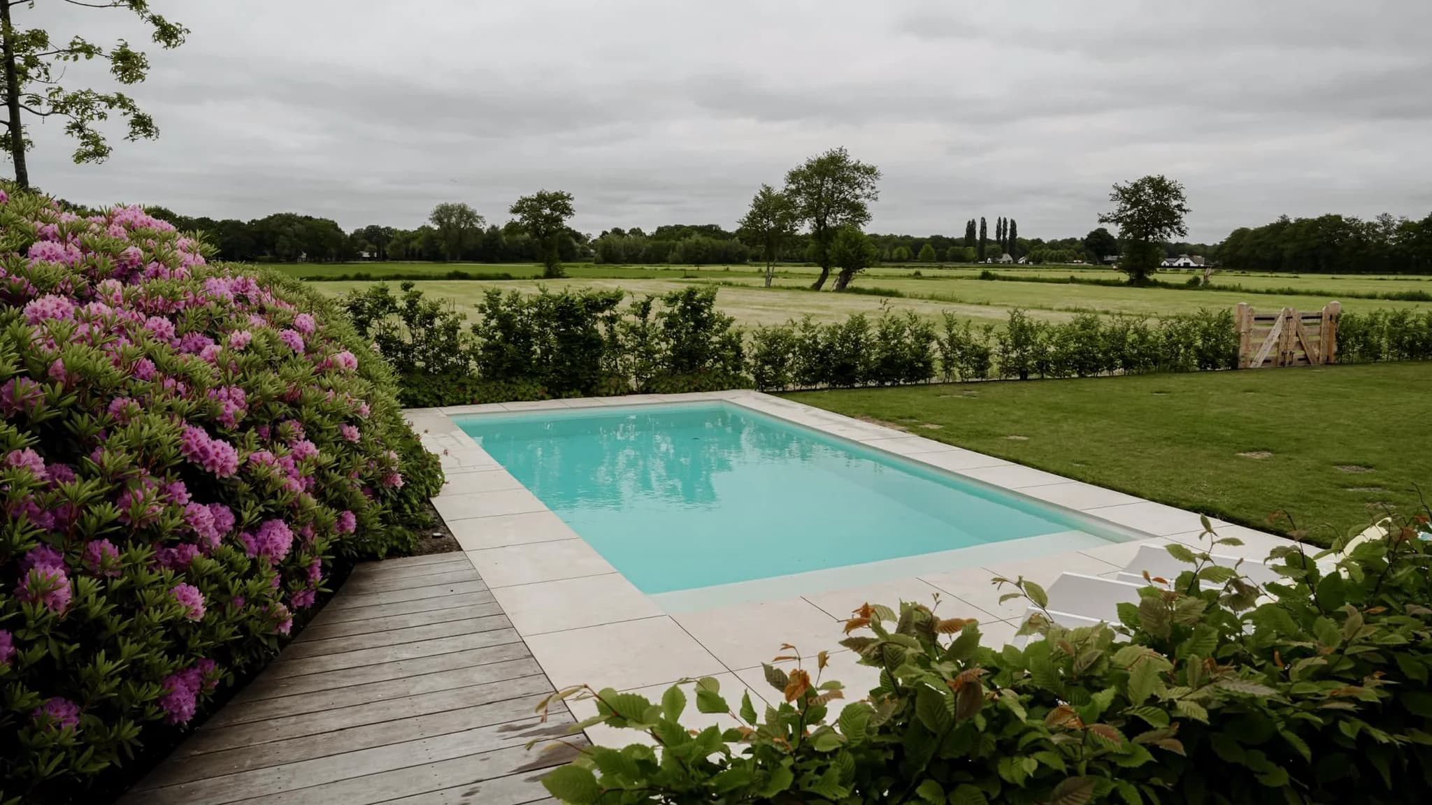 Rechthoekig buitenzwembad met turquoise water, betegeld terras en houten vlonder. Voorgrond met roze rododendron. Achtergrond met weilanden en bomen onder bewolkte hemel.
