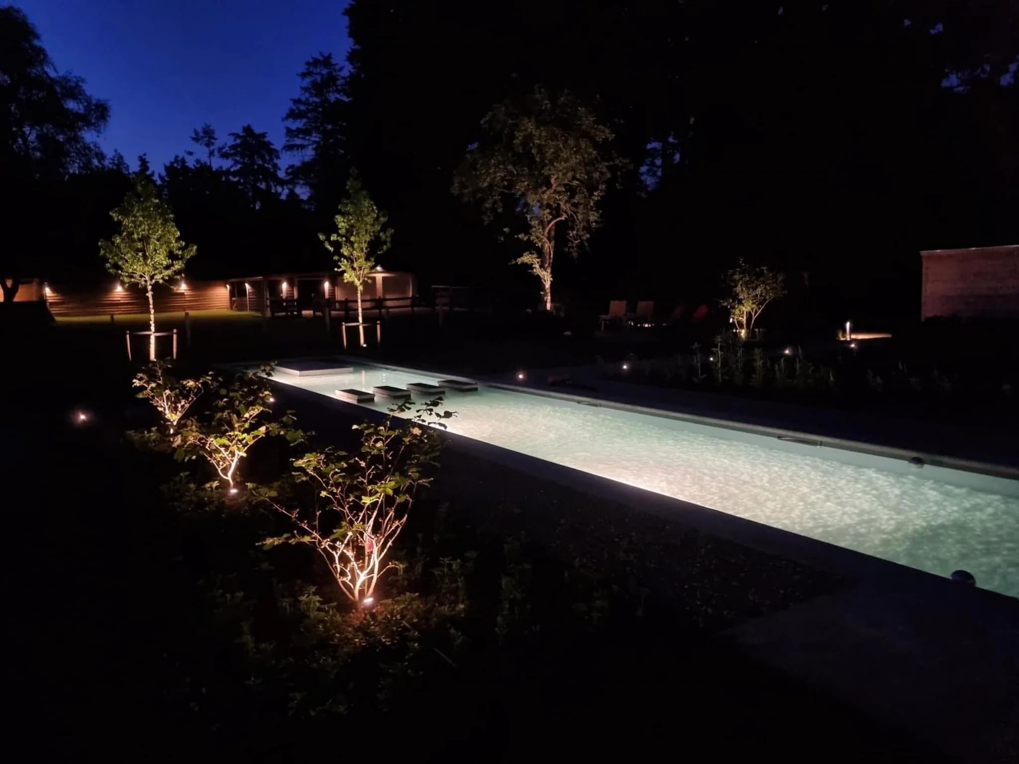Buitenzwembad bij nacht met verlicht water en oplichtende bomen langs de rand