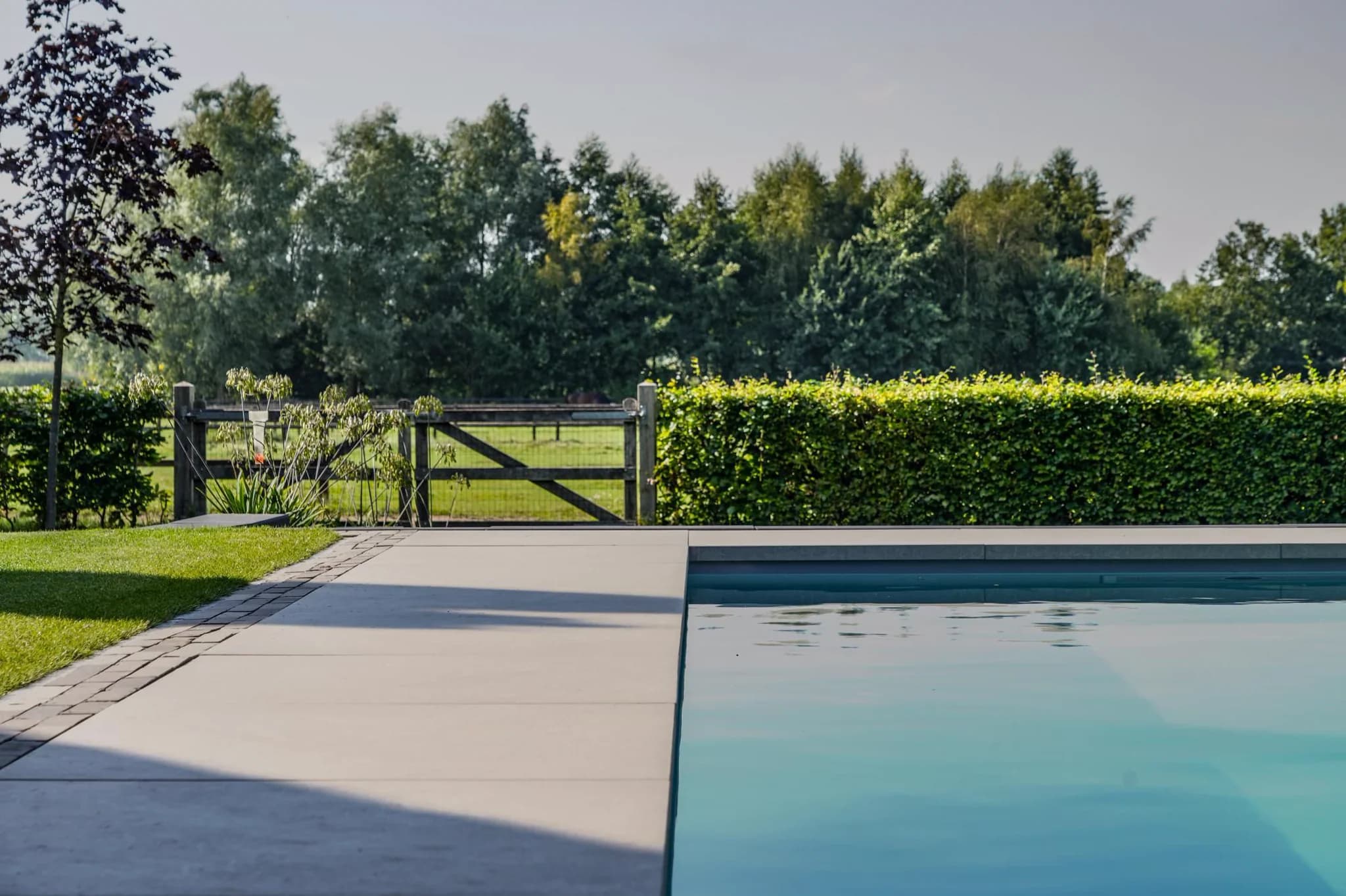 Zwembad in de voorgrond met betegeld terras, gazon links en houten hek met heg en bomen op de achtergrond