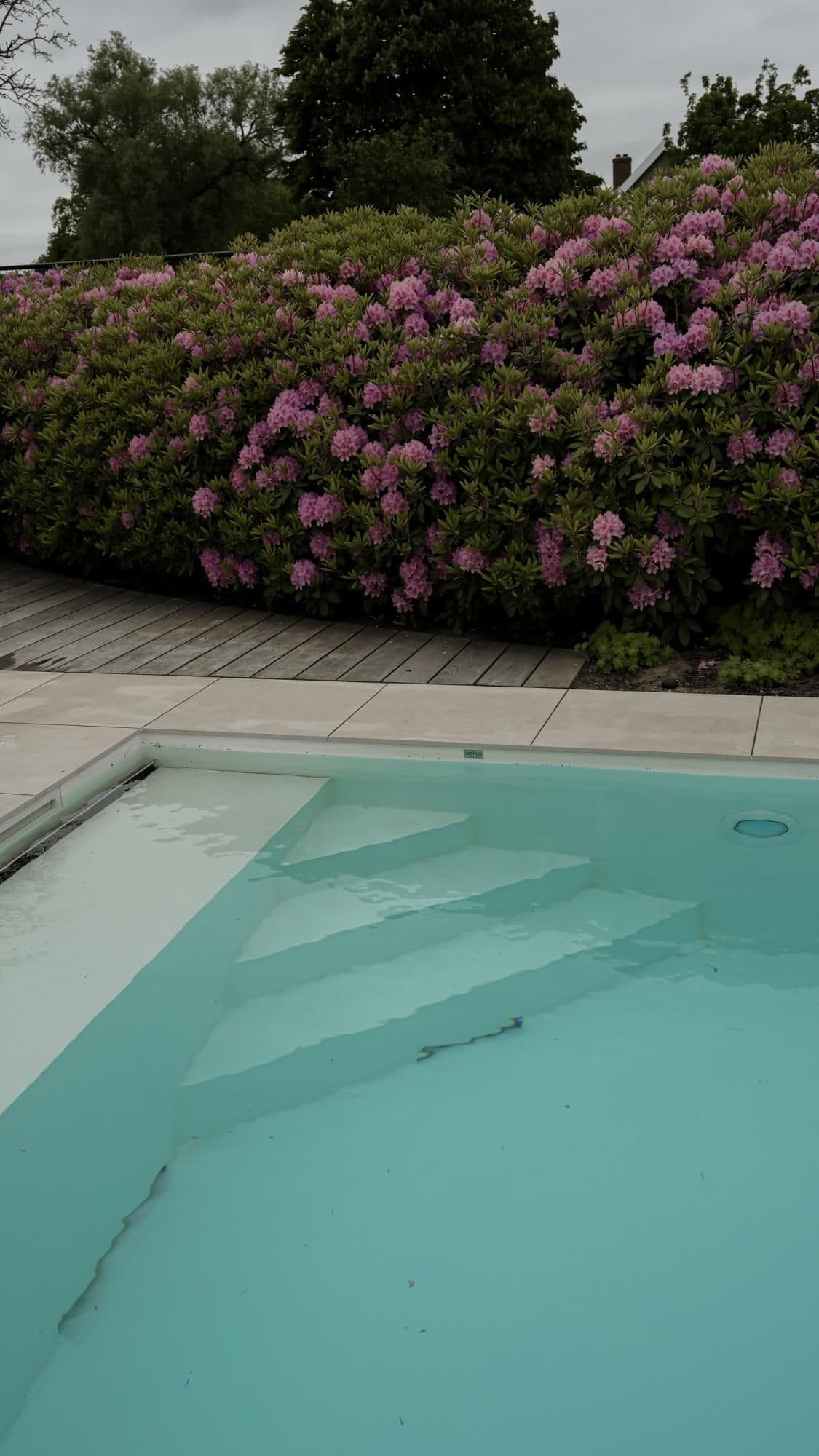 Zwembad met trap en lichtblauw water, tegelrand en houten vlonder, grote struik met roze bloemen en bomen op de achtergrond onder een bewolkte hemel